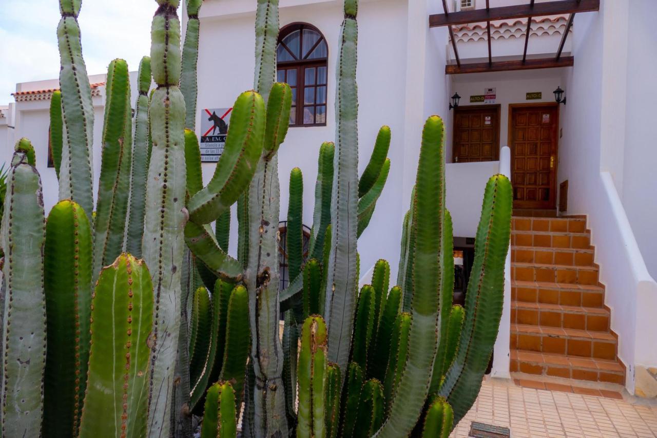 Las Bouganvillas 1 Bed Apartment In Costa Adeje Eksteriør bilde